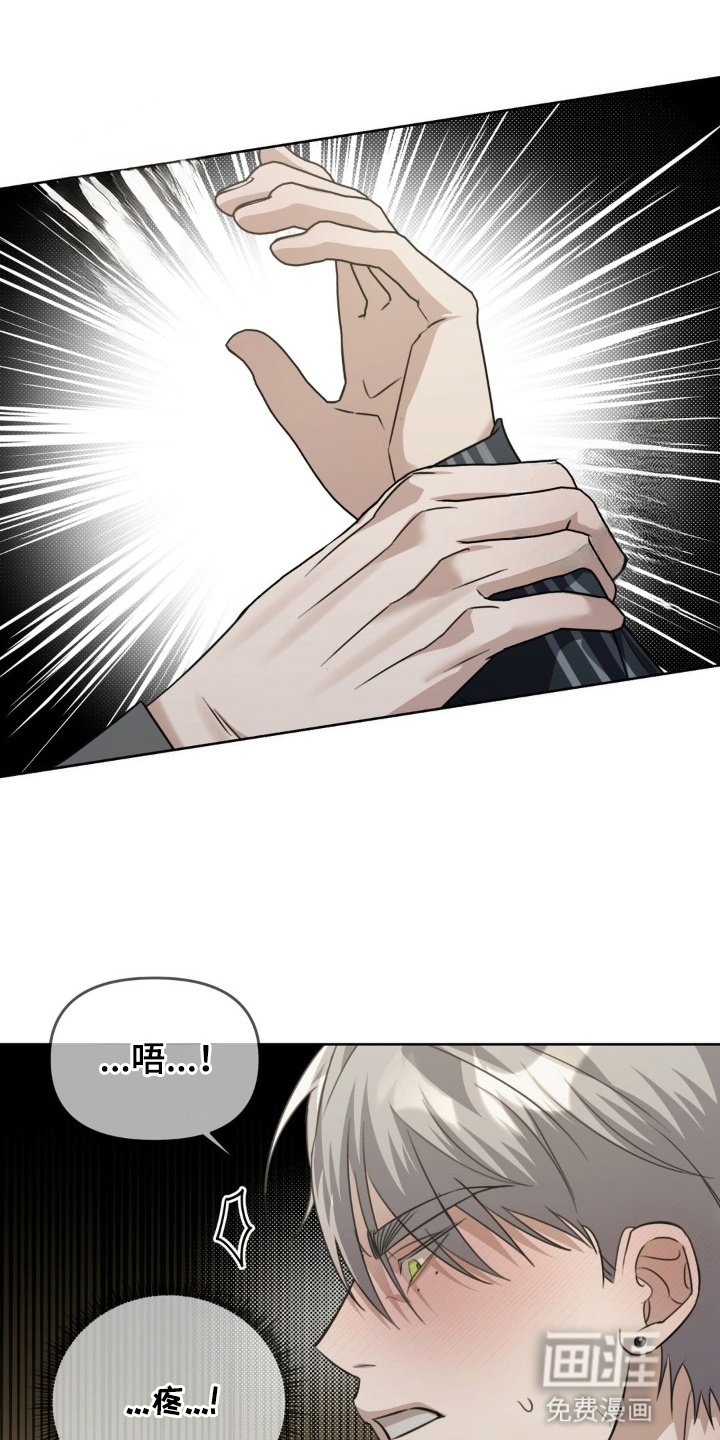 第3章：再次见面