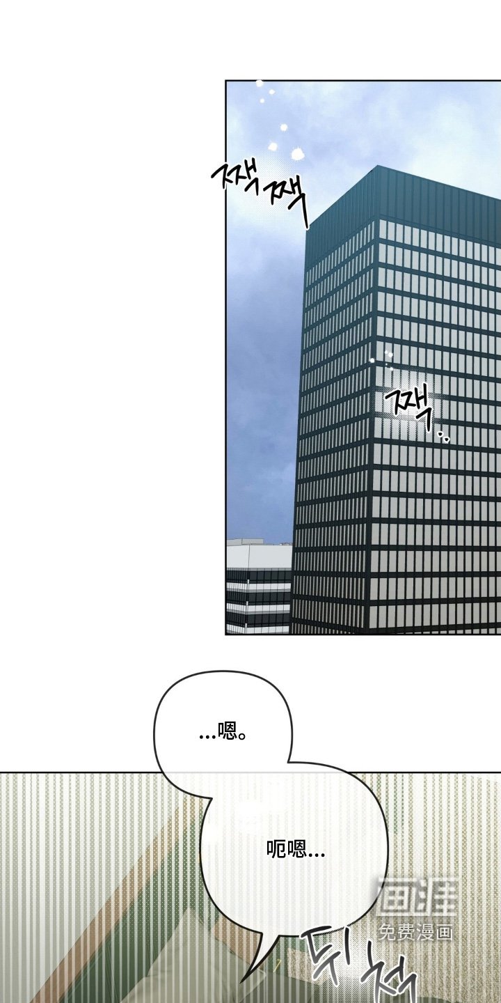 第38章：是什么意思