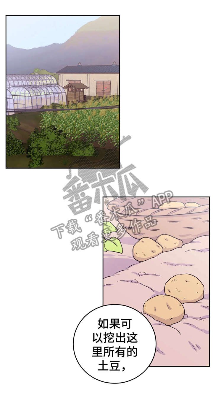 第16章：挖土豆