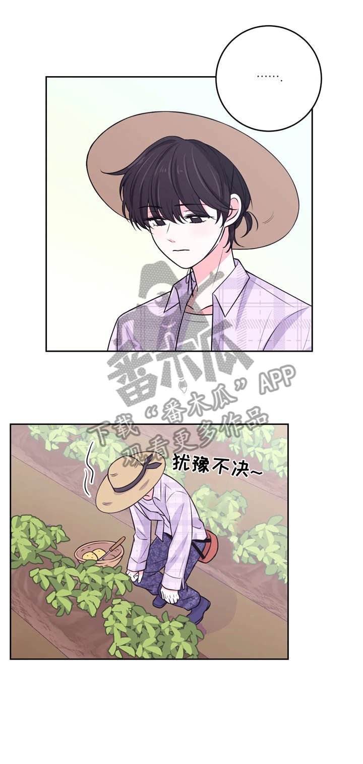 第16章：挖土豆
