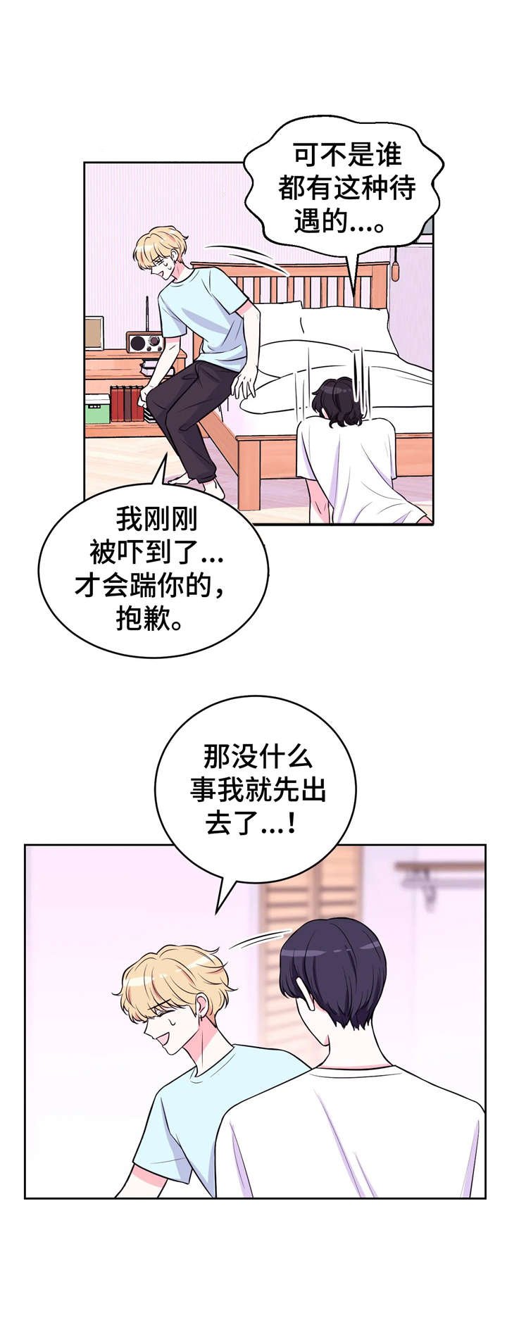 第19章：踹