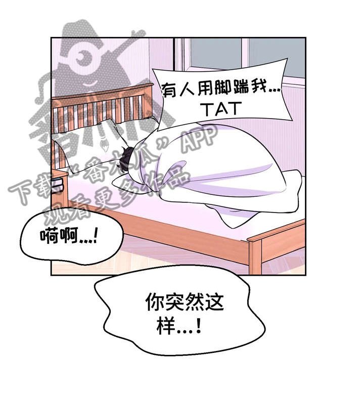 第19章：踹