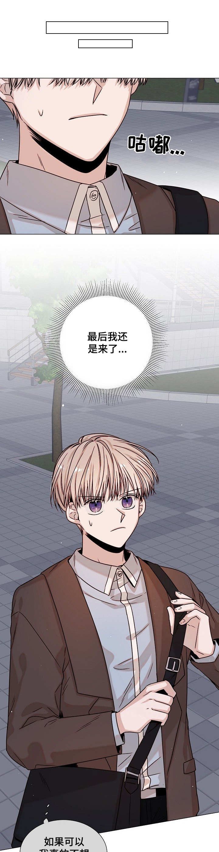 第11章：会议