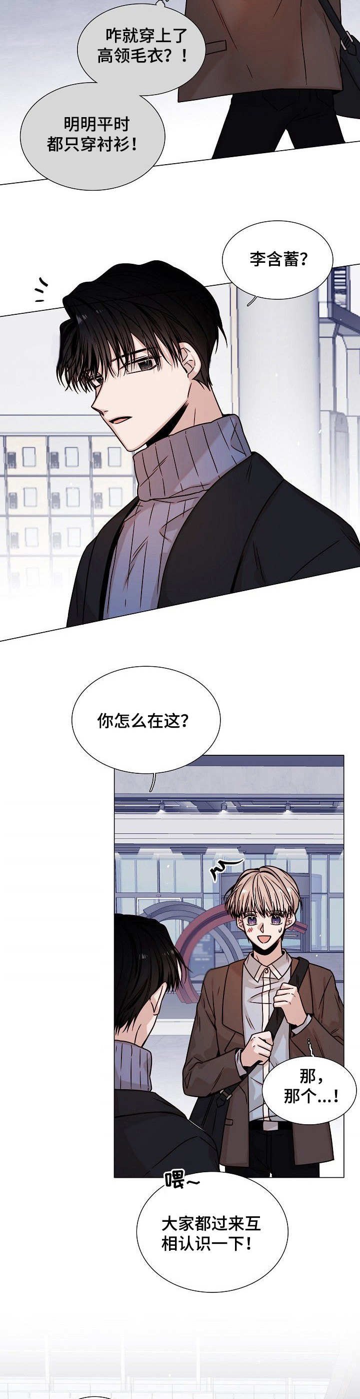 第11章：会议