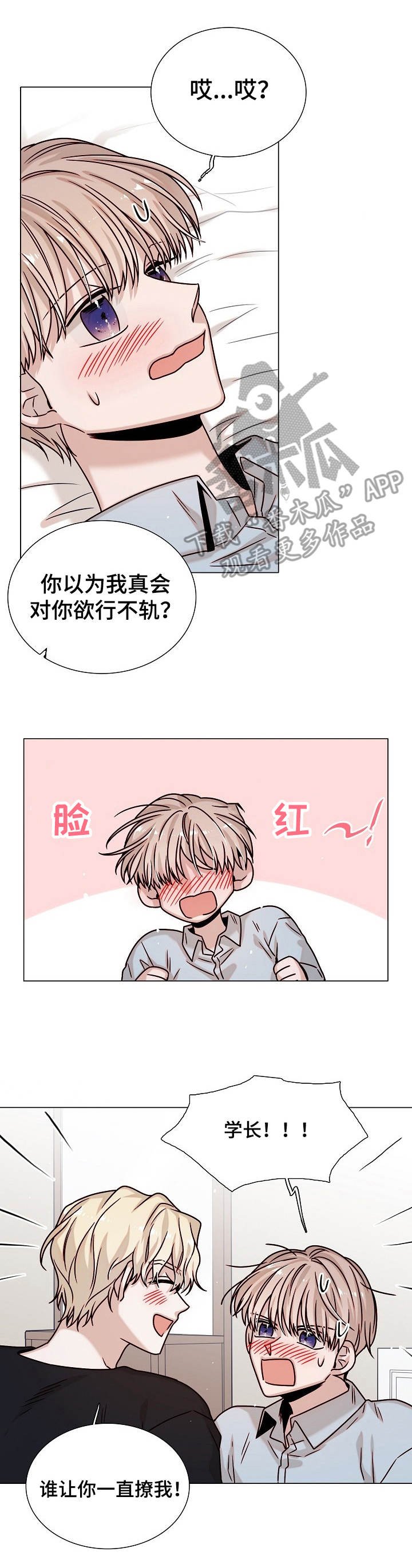 第36章：表白