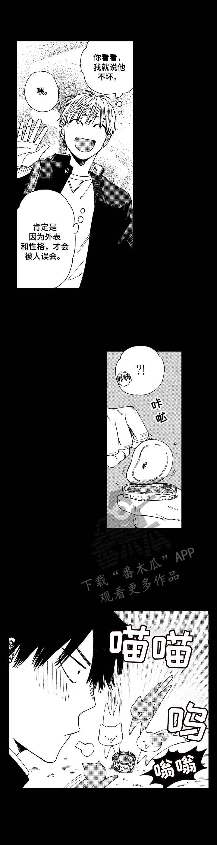 第11章：好感