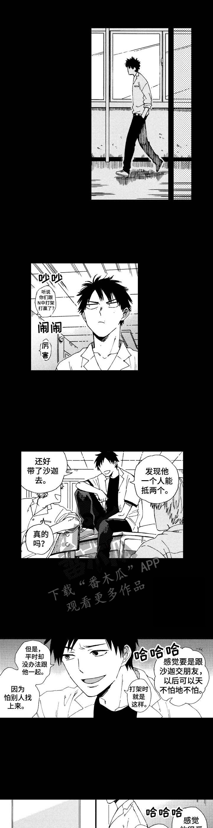 第12章：表面朋友