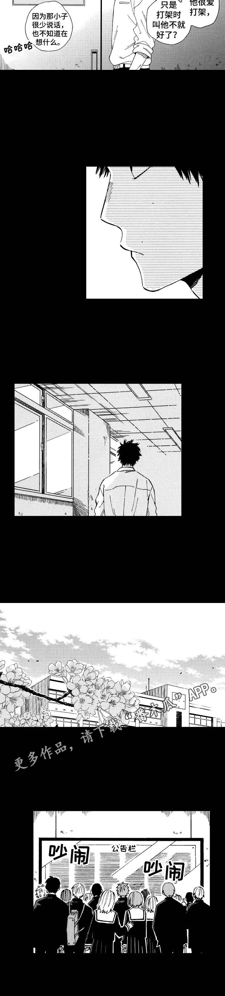 第12章：表面朋友