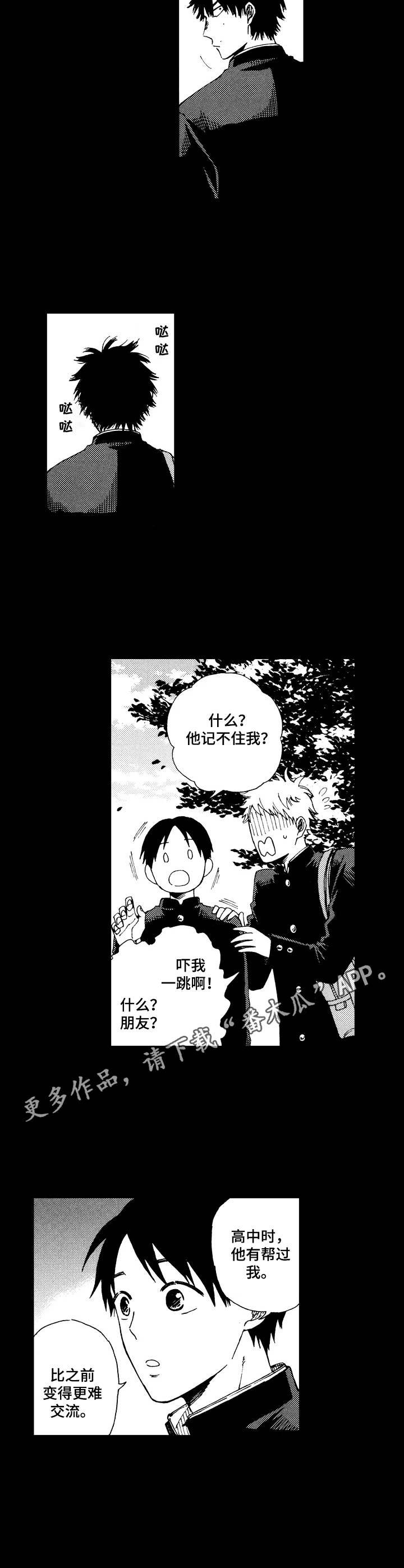 第12章：表面朋友
