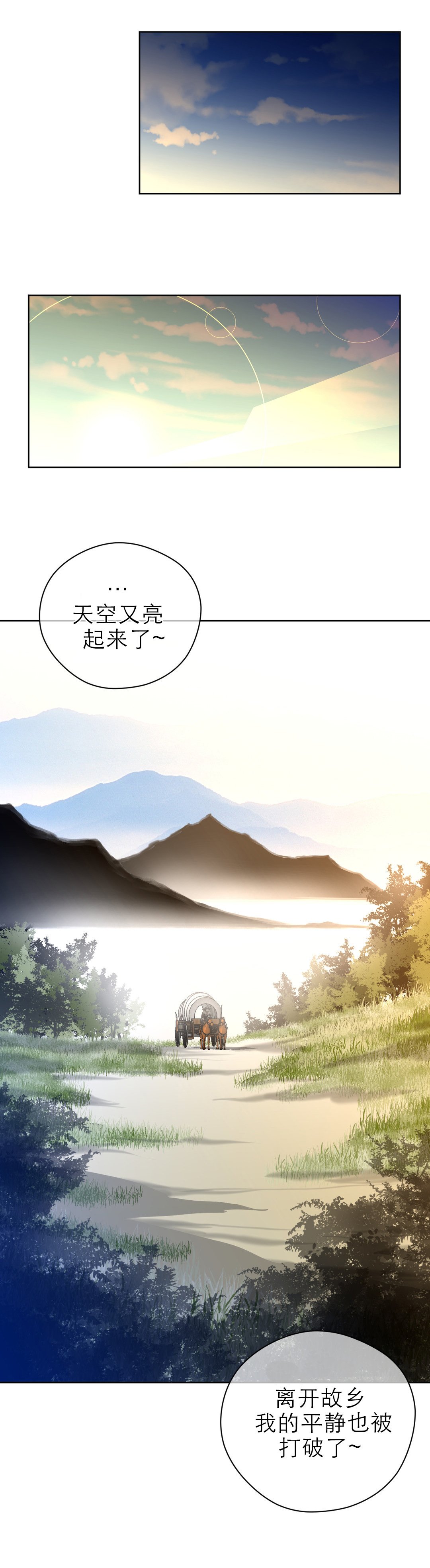 第11章：报道