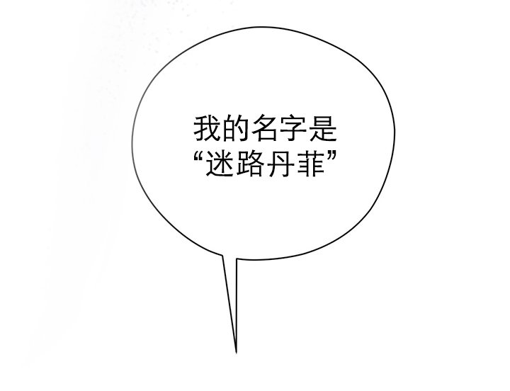 第4章：迷路丹菲