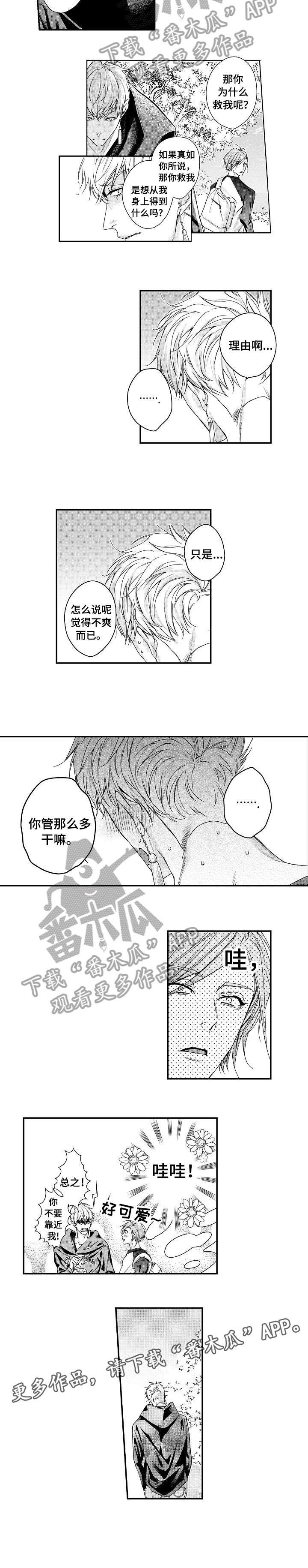 第11章：好可爱