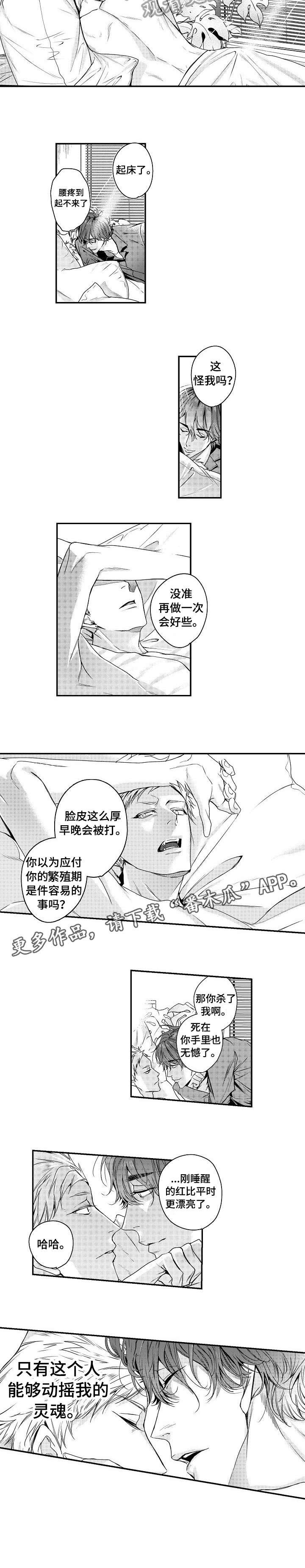 第13章：演出