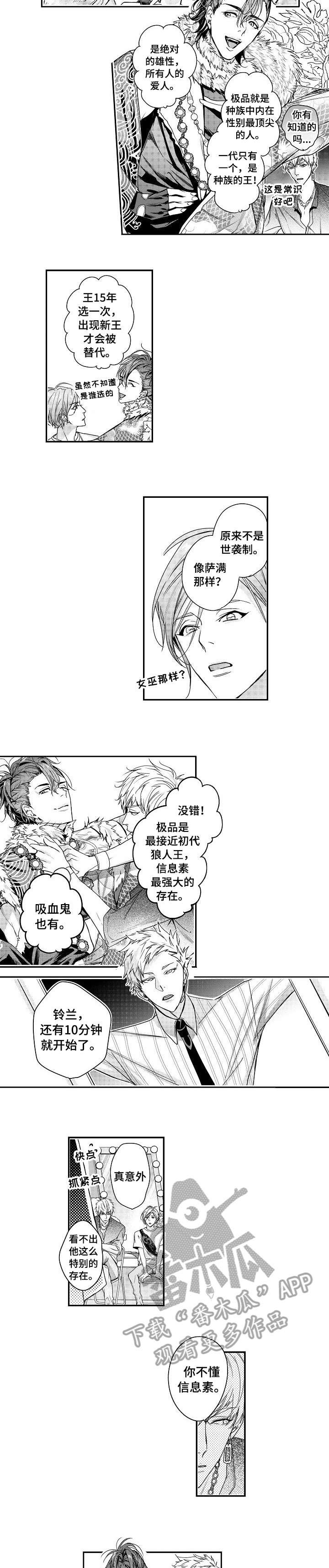 第13章：演出