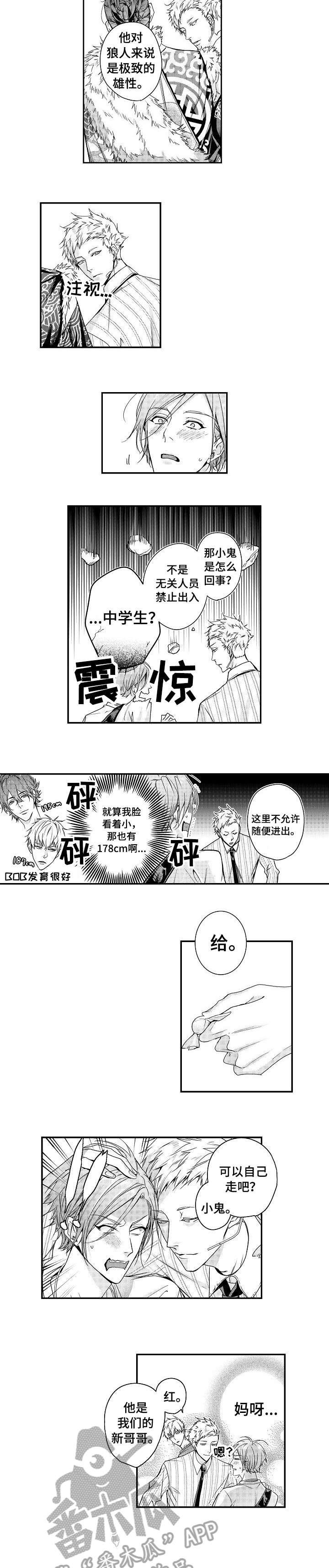 第13章：演出