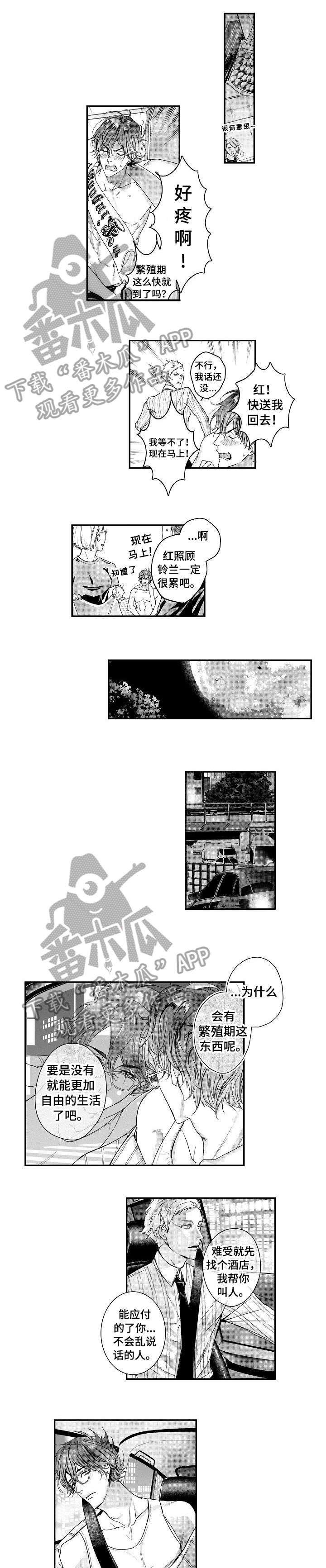 第15章：药