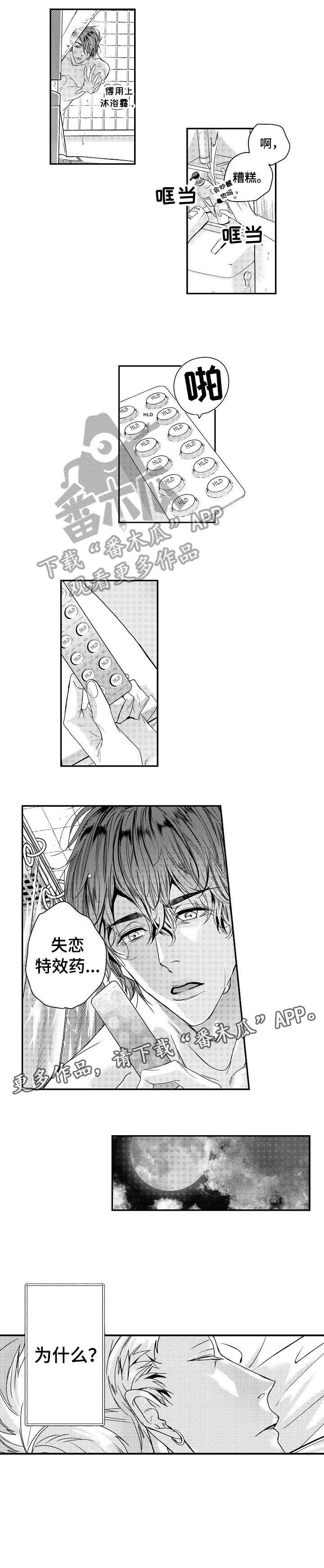 第15章：药