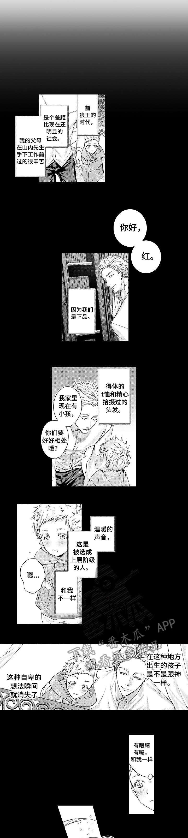 第16章：保护