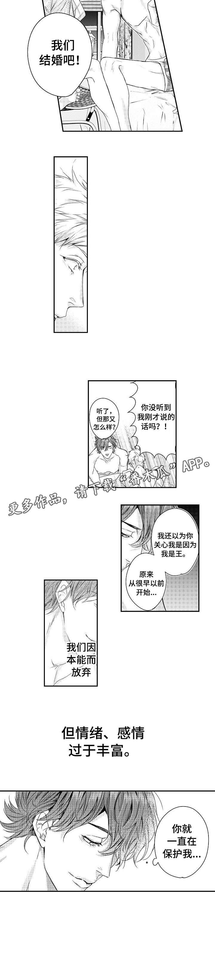 第16章：保护