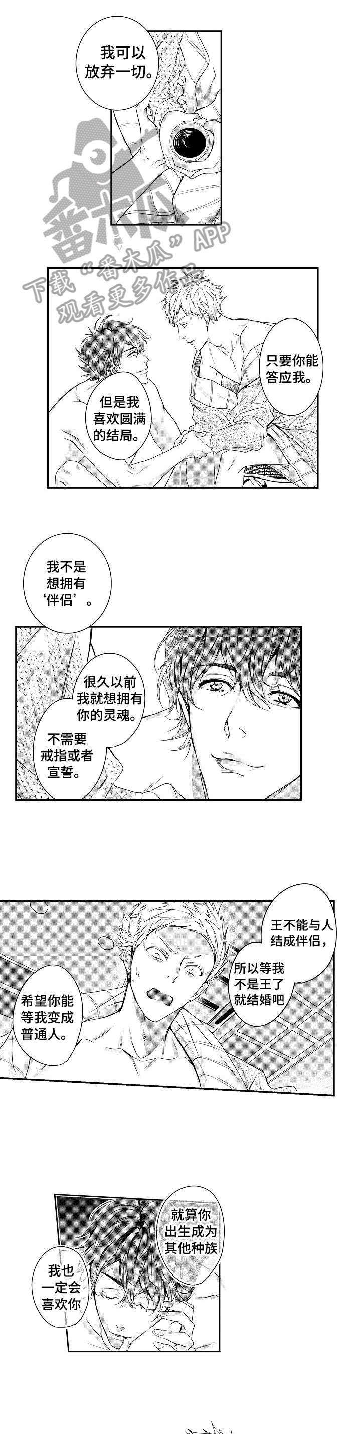 第17章：美妙