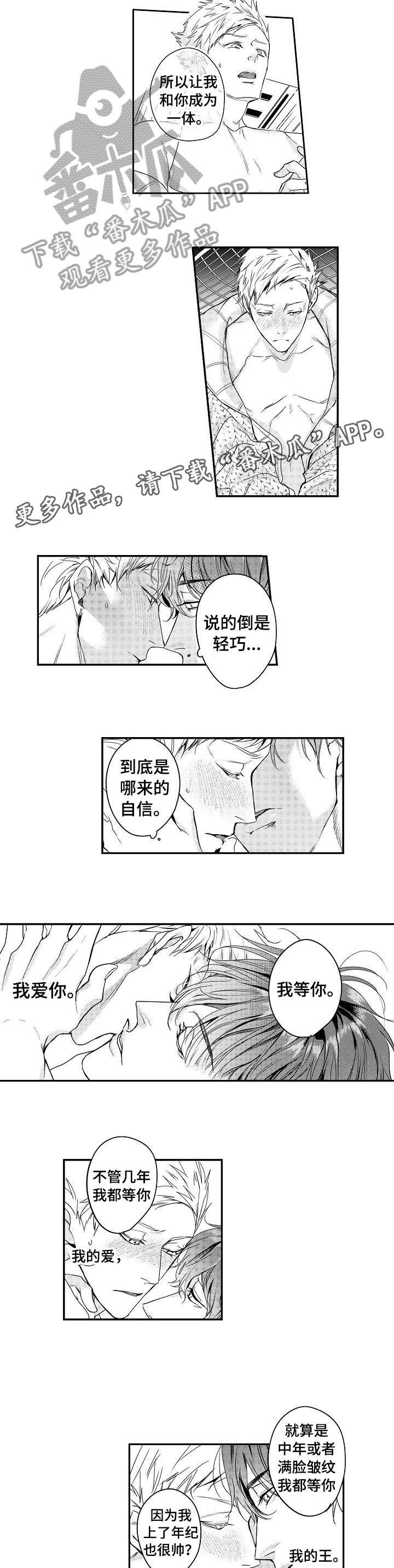 第17章：美妙