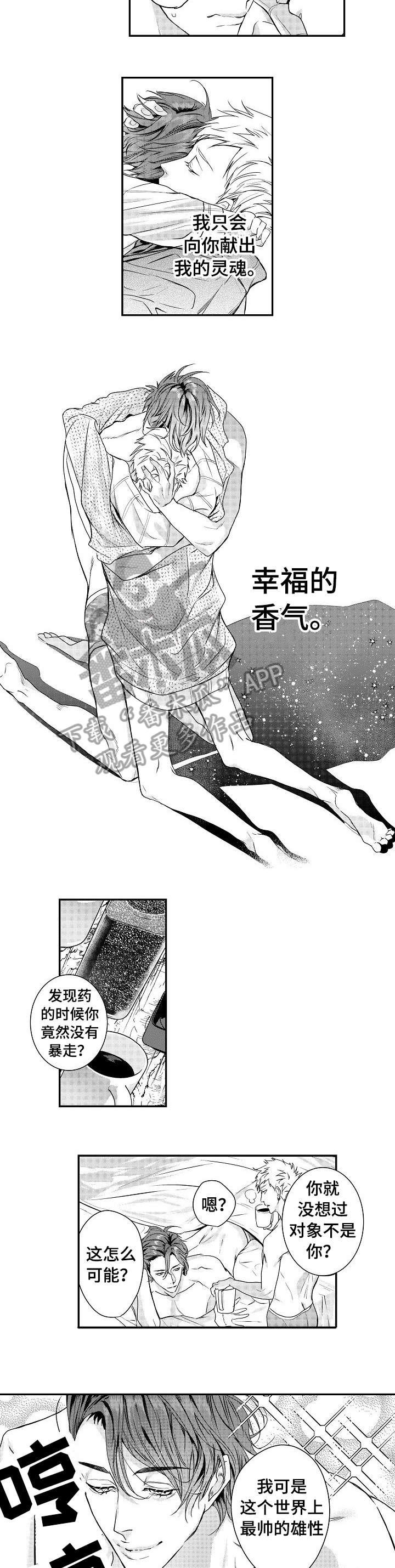 第17章：美妙