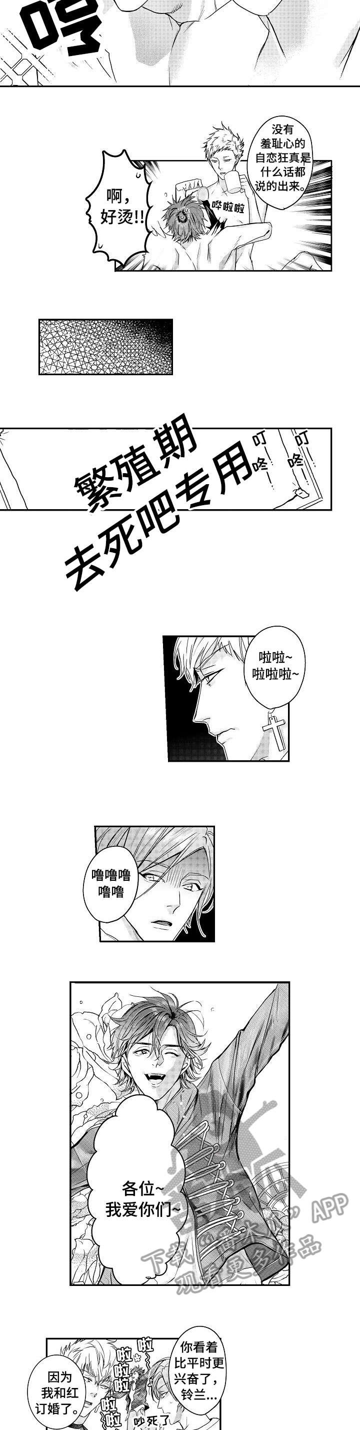 第17章：美妙