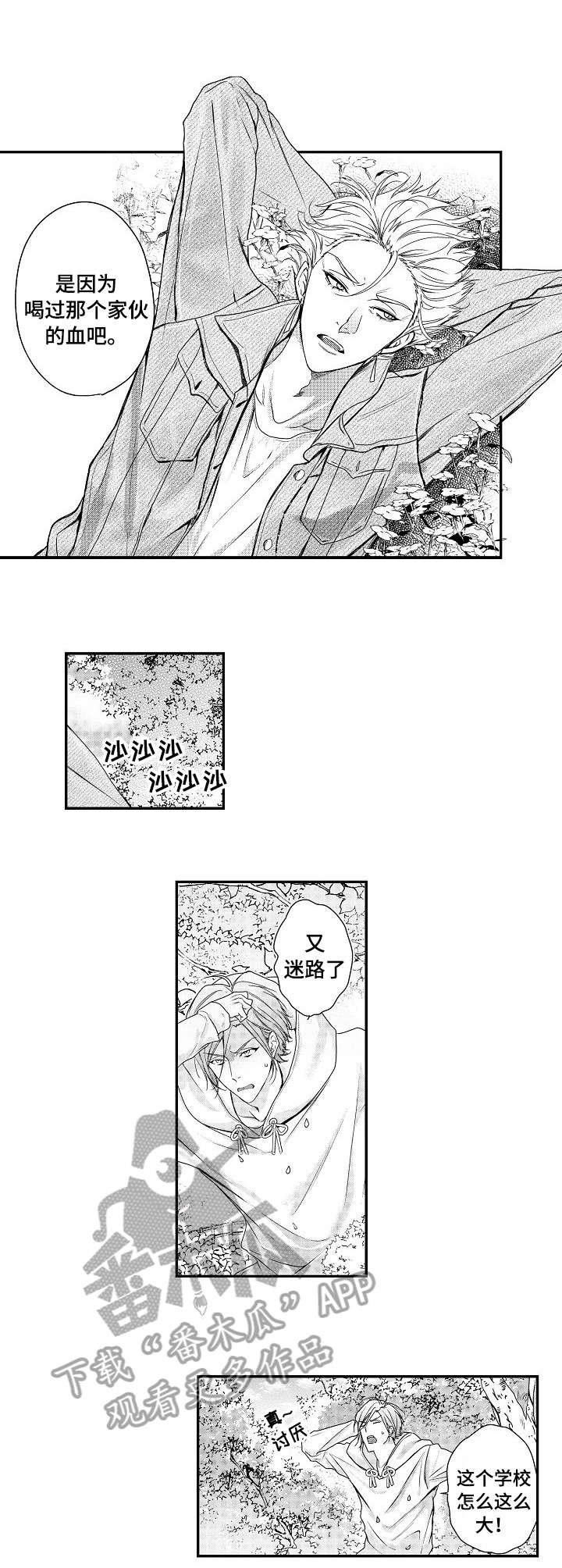 第18章：血