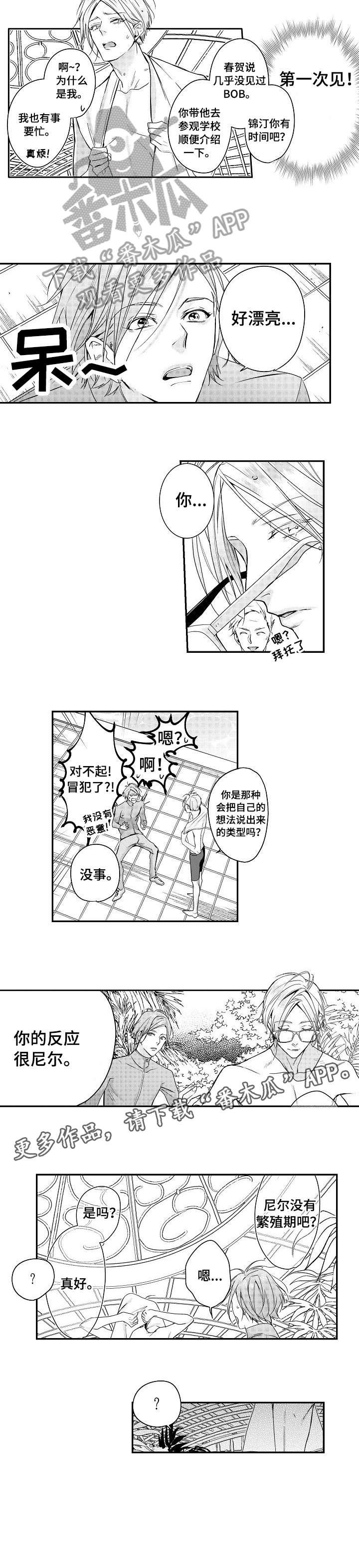 第3章：学校