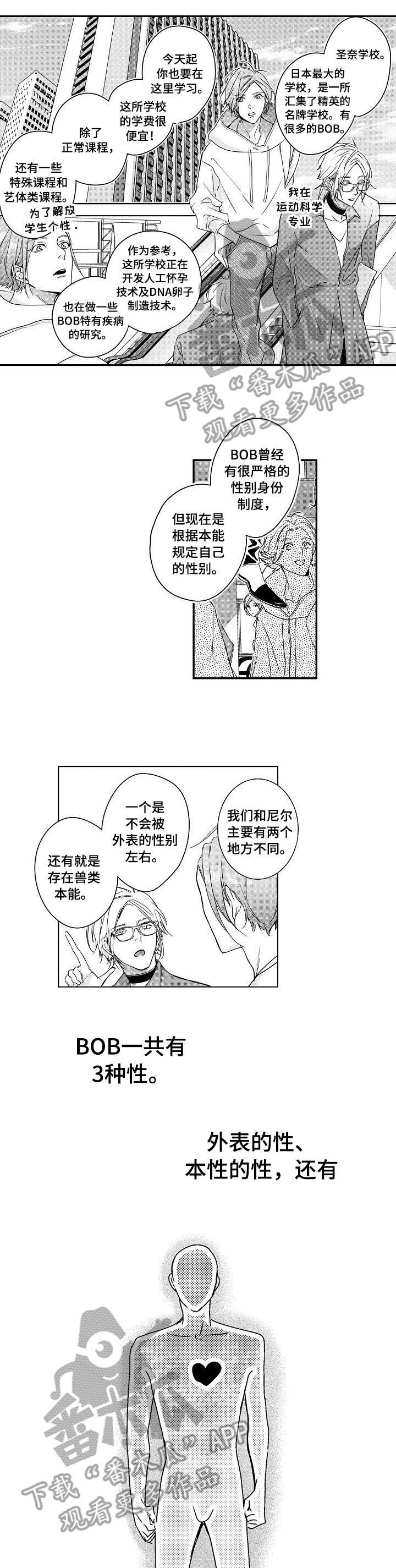 第3章：学校