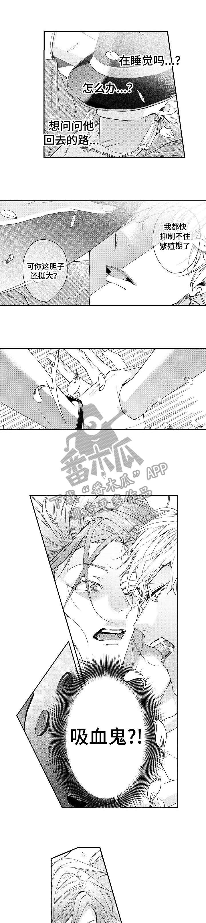 第5章：吸血鬼