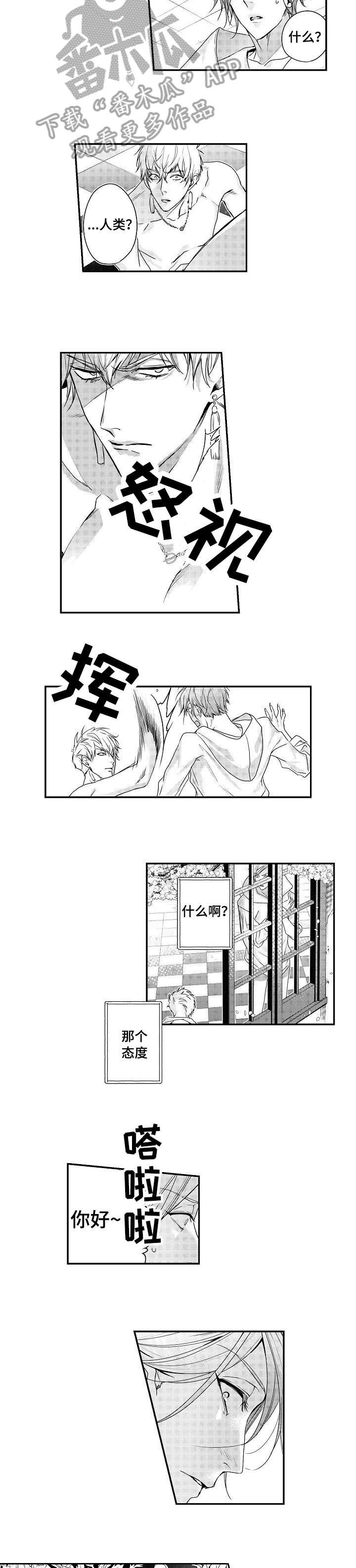 第6章：住手
