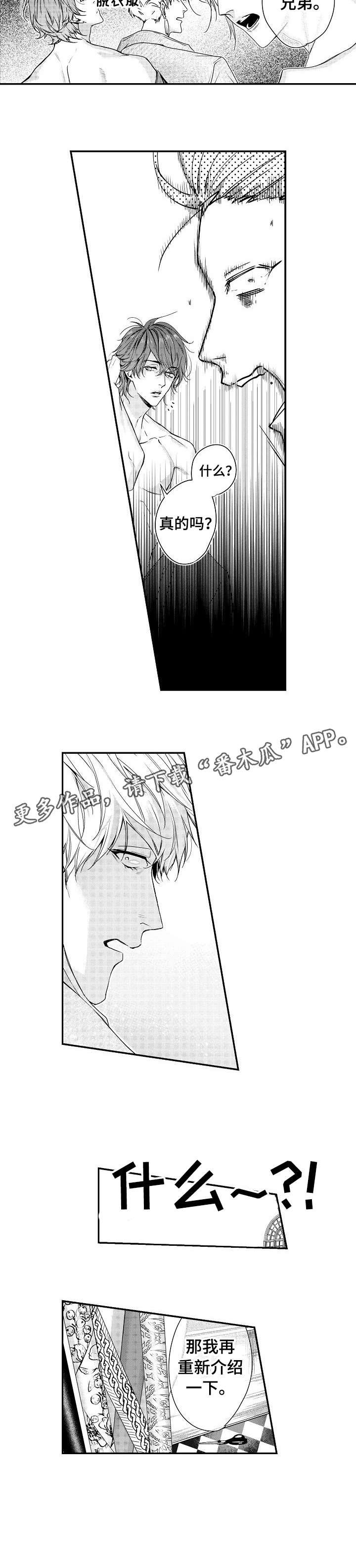 第6章：住手