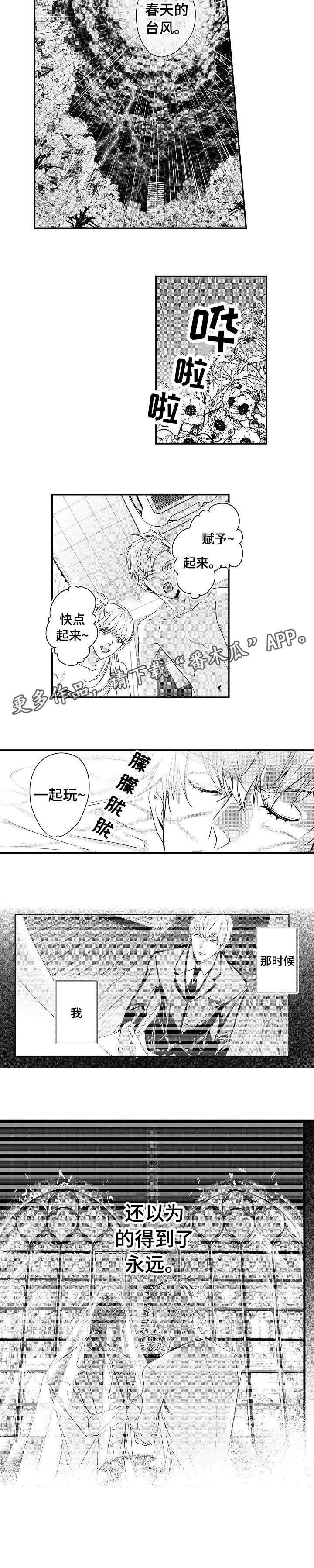 第6章：住手