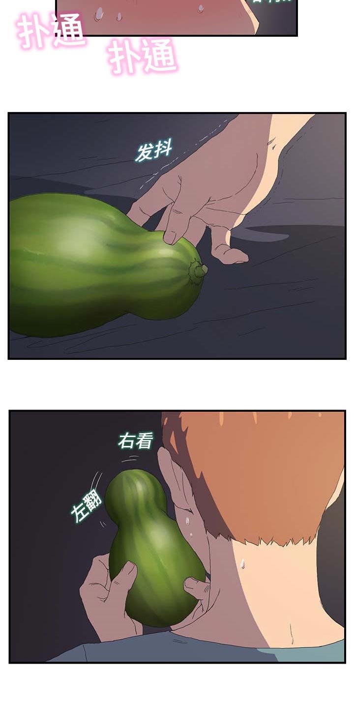 第3章：西葫芦