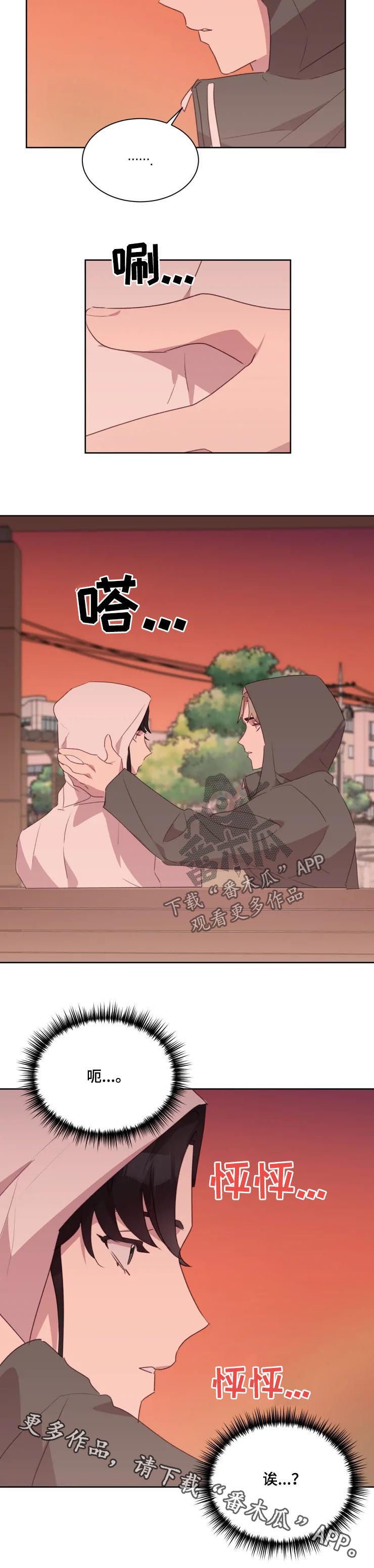 第29章：共同之处