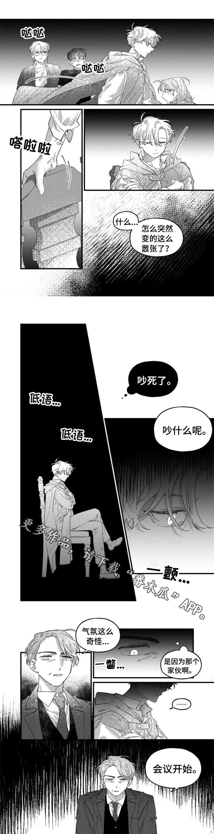 第11章：会议