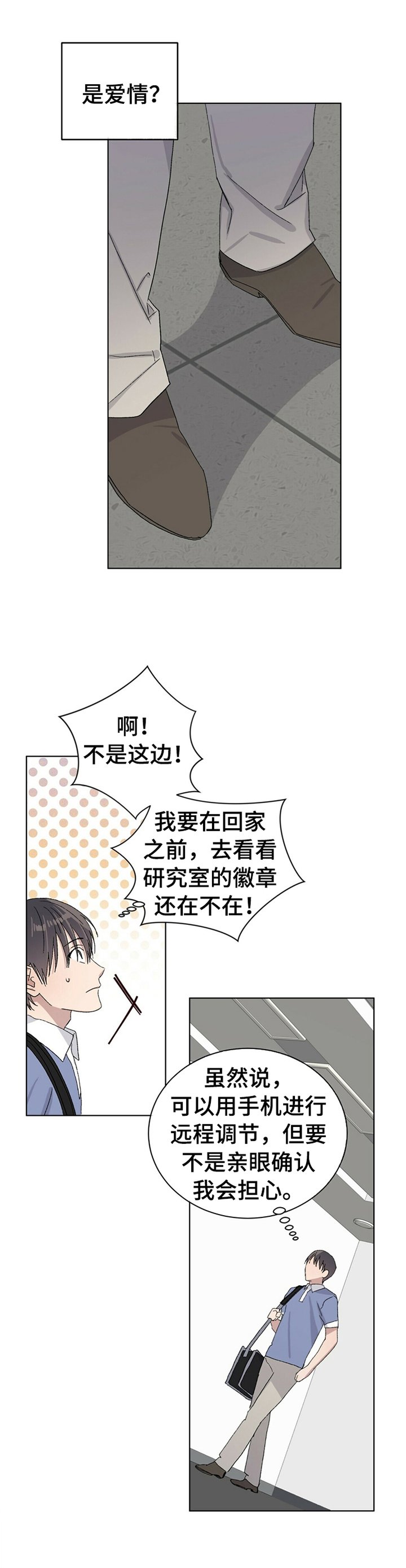 第31章：真相