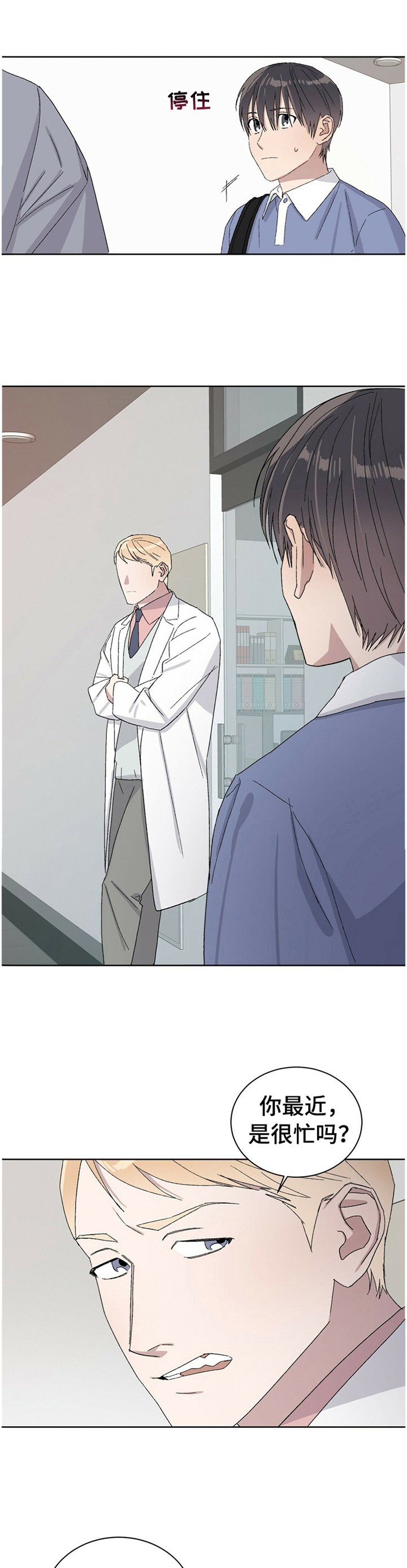 第31章：真相