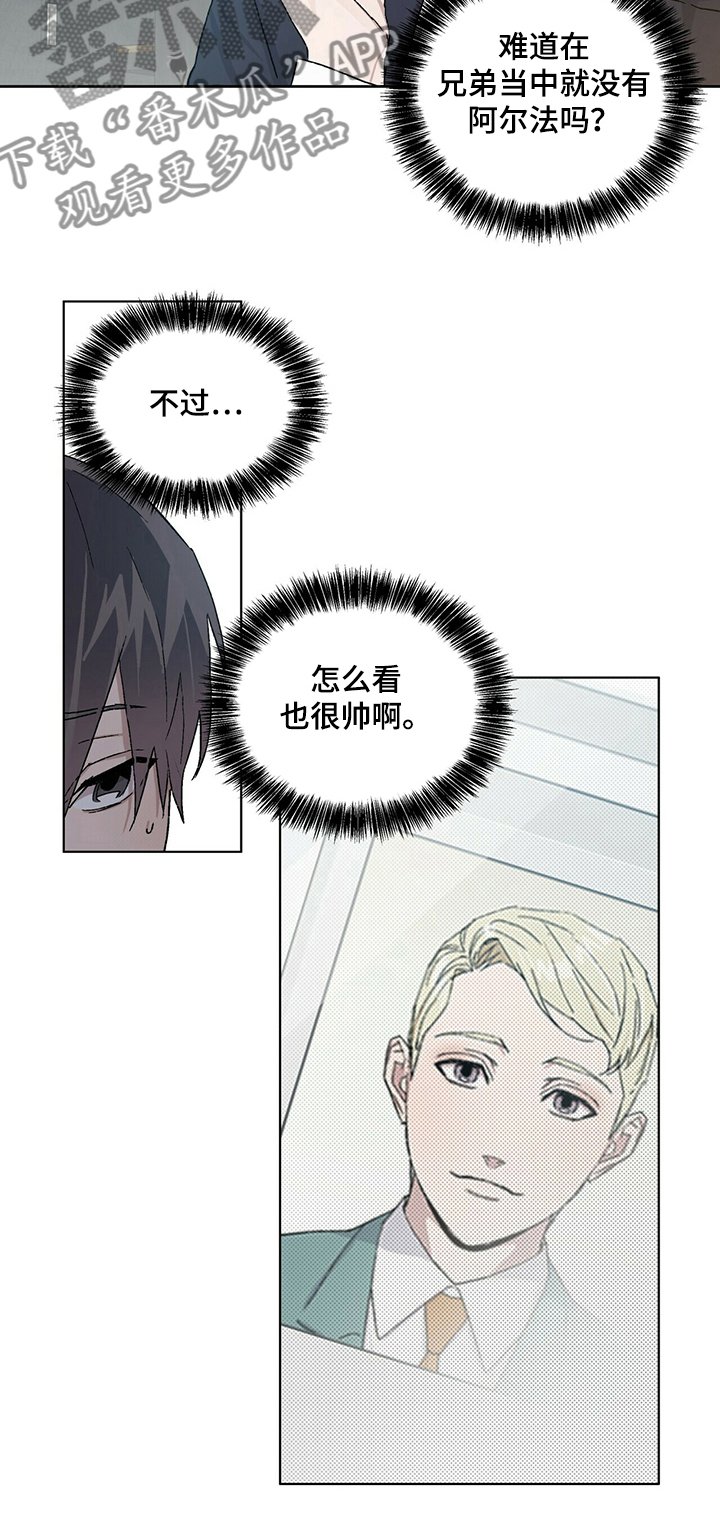 第49章：继续研究