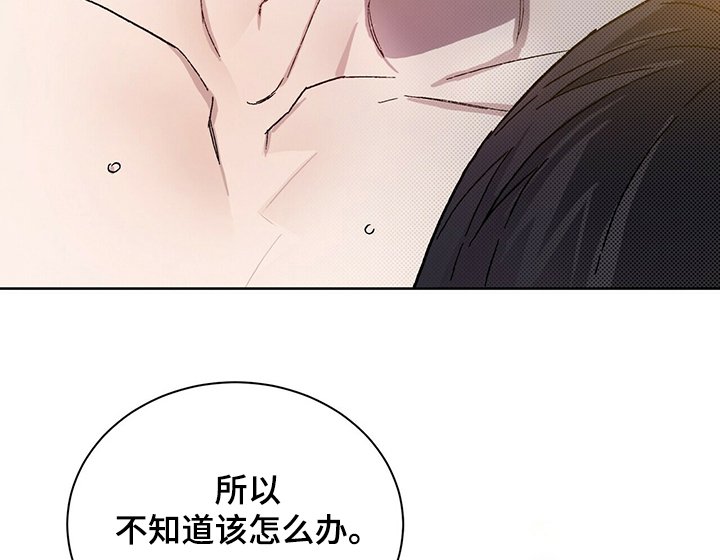 第52章：我想继续研究
