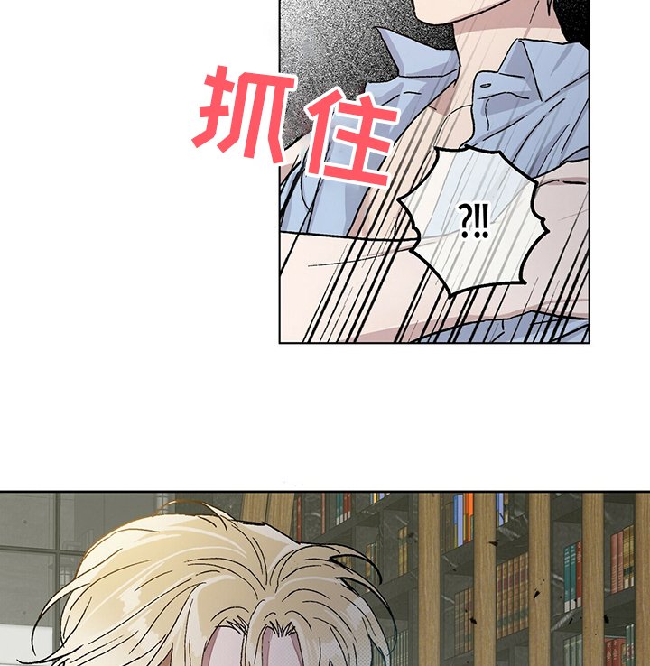 第52章：我想继续研究