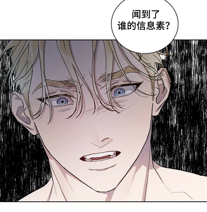 第52章：我想继续研究