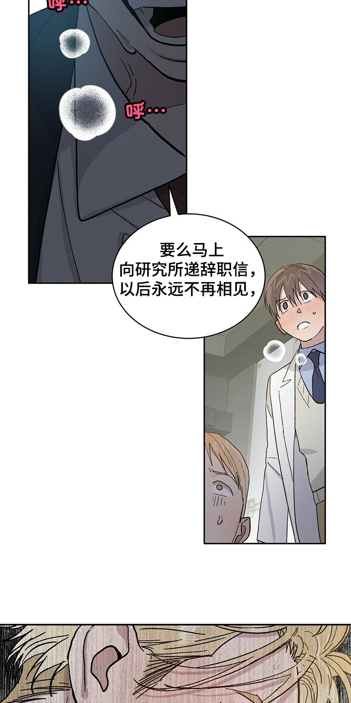 第62章：为什么是“又”