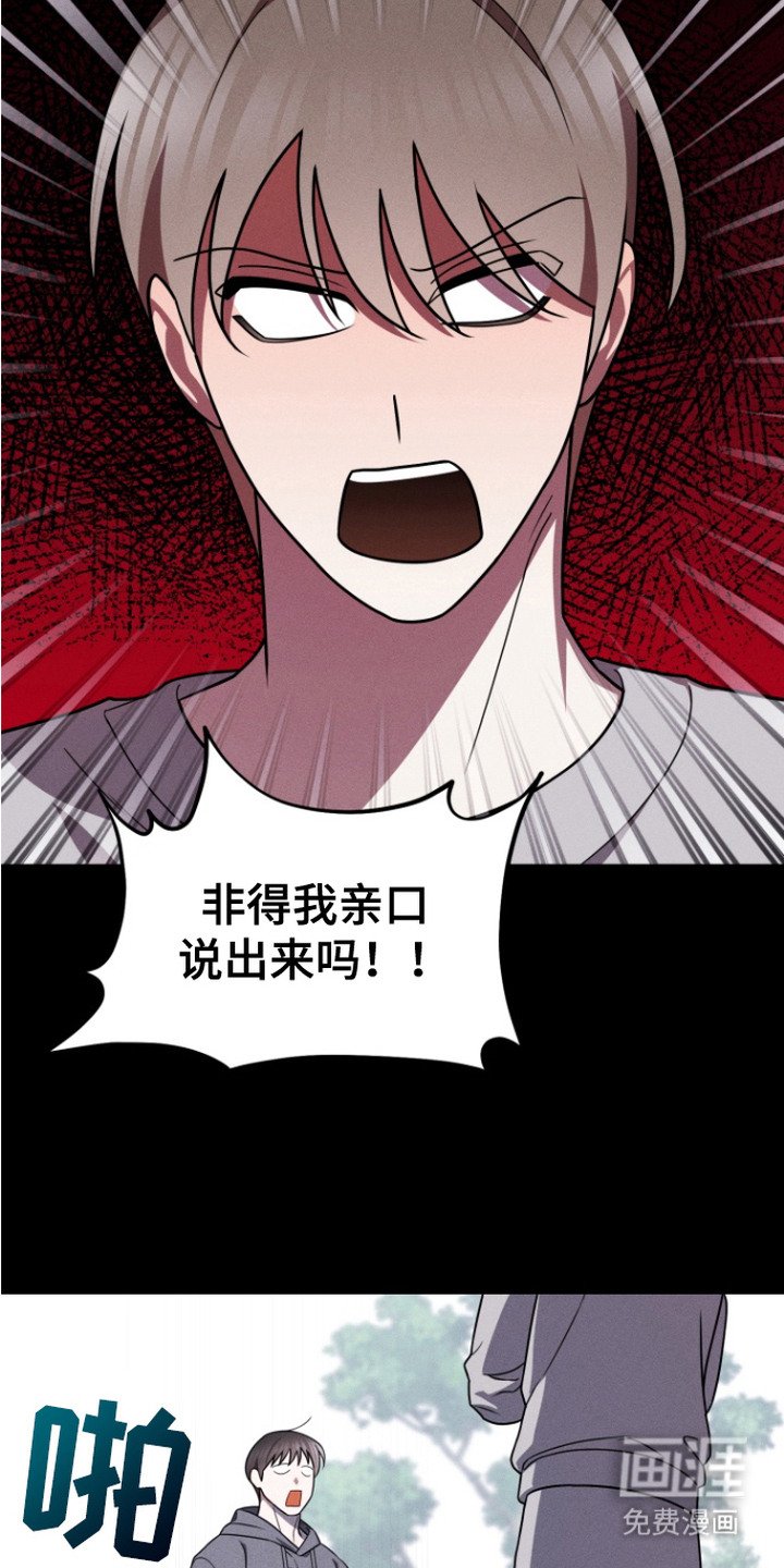 第14章：纪念日