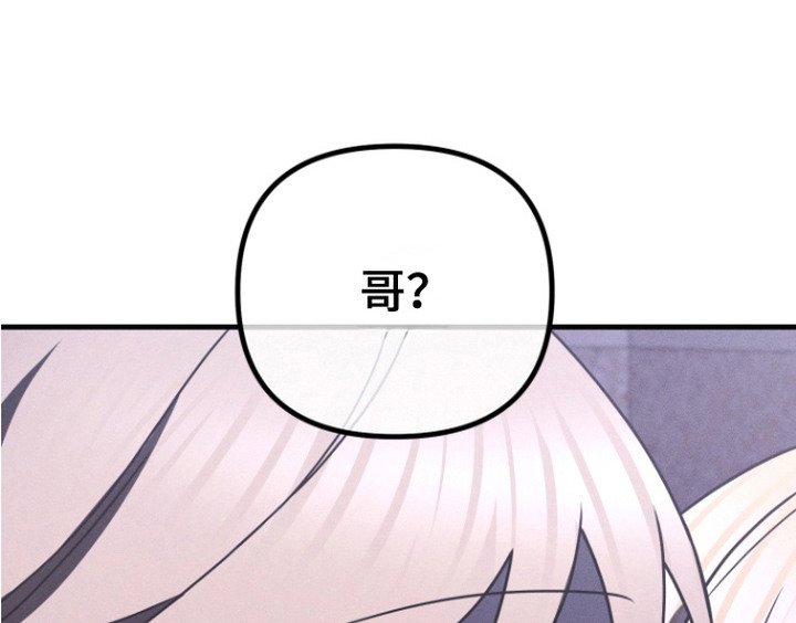 第20章：摊牌