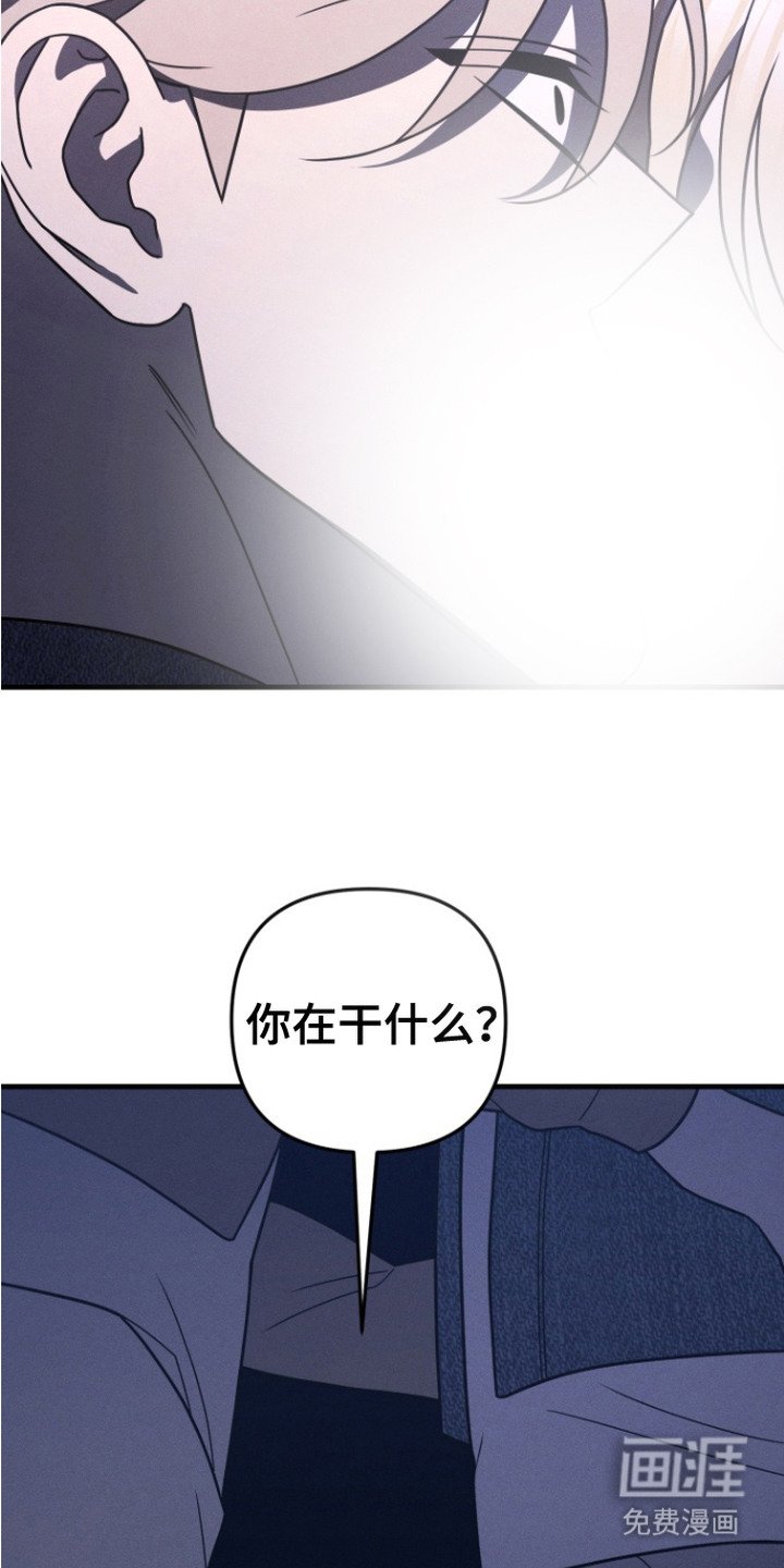 第20章：摊牌