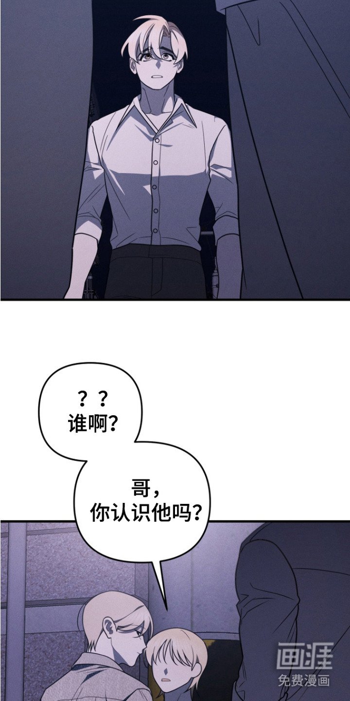 第20章：摊牌