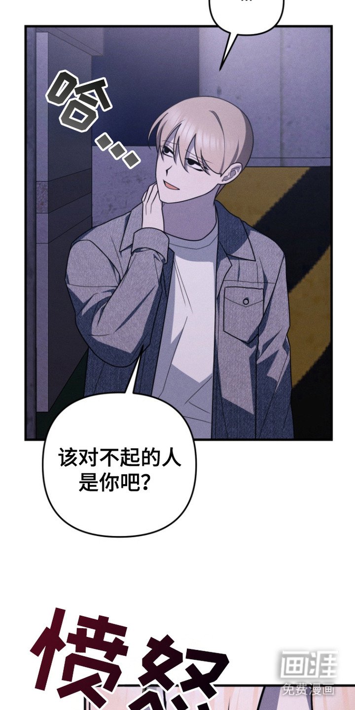 第20章：摊牌