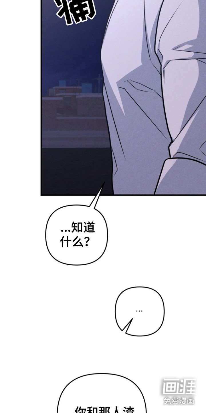 第20章：摊牌